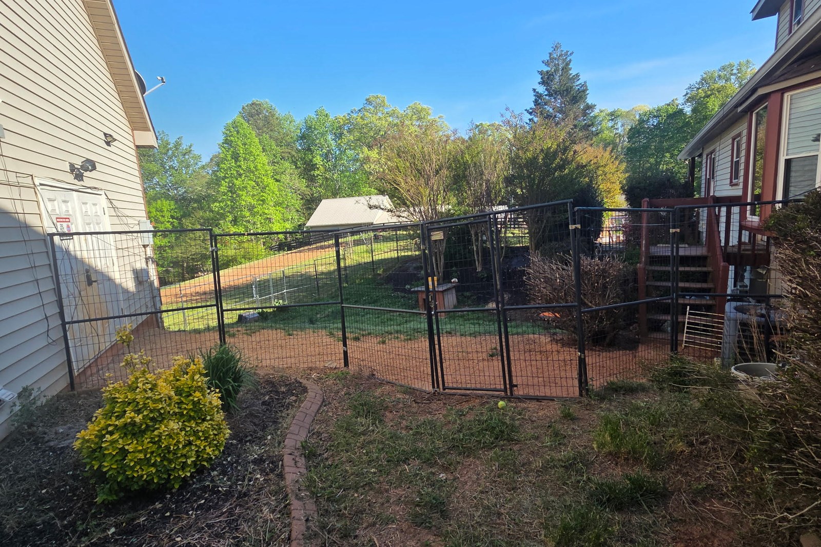 The secure fenced outdoor yard at Scouts Kennel Club surrounded by trees